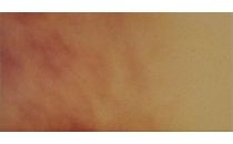 Cerrad Płytki Podłogowe Jesienny Liść  300x148x11 mm gładkie